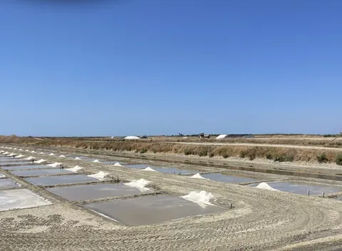 The salt marshes of Loix