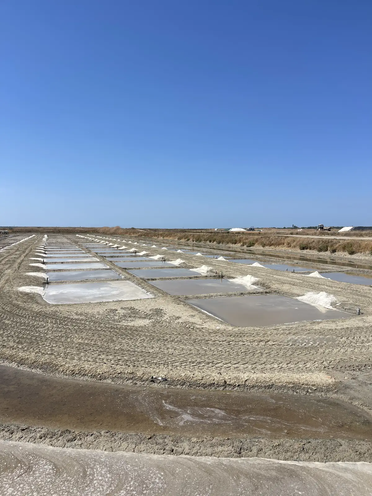The salt marshes of Loix and the piles of salt