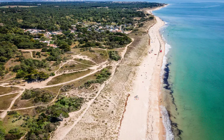 Aerial view of Gros Jonc beach at Le Bois-Plage-en-Ré, forest and dunes