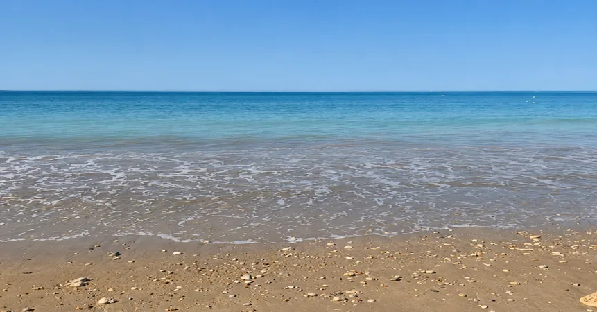 A beach on Île de Ré at low tide