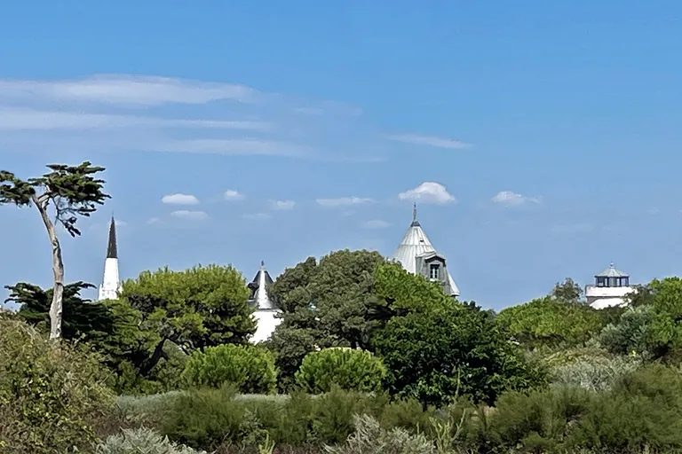 The black and white steeple of Ars-en-Ré and the windmills among the pines