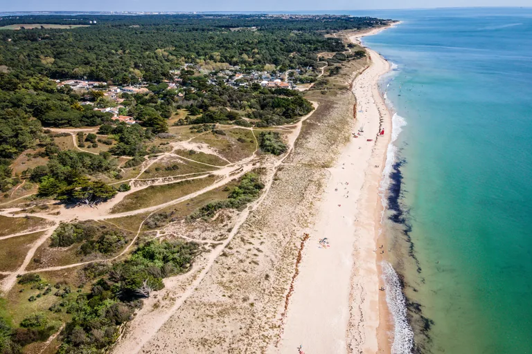 Aerial view of Gros Jonc beach at Le Bois-Plage-en-Ré, forest and dunes