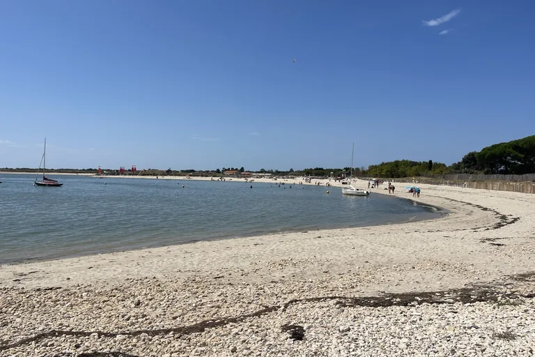 Grouin beach in Loix, boats and pine wood