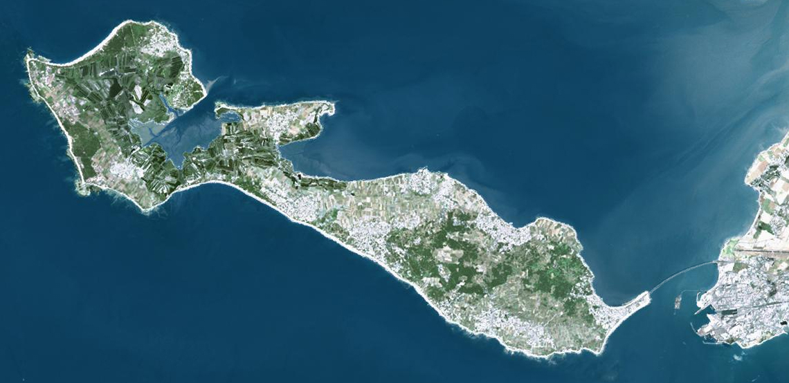 Acheter sur l'Île de Ré en 2026 : ce que dit vraiment le marché aujourd'hui